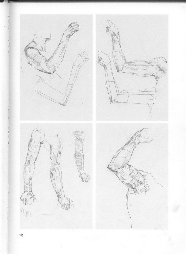 Bammes — the arm read as planes.