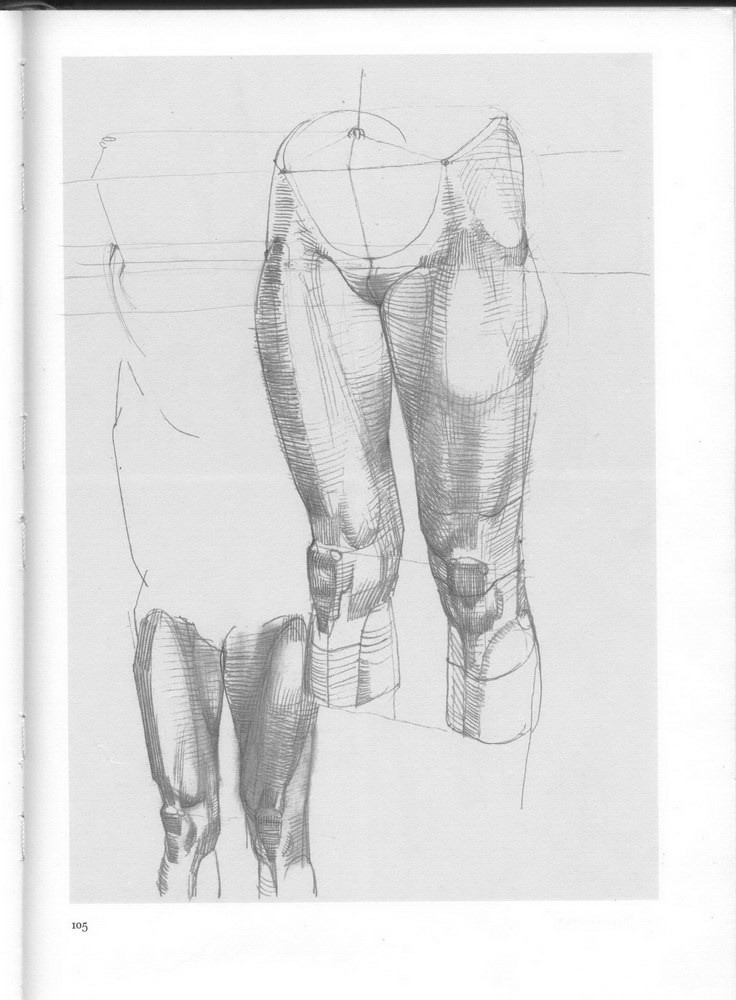 Bammes — pelvis and legs as planar masses.