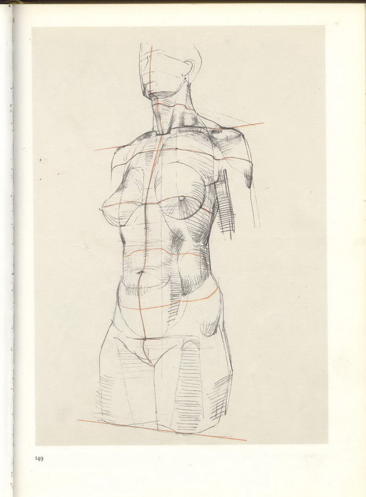 Gottfried Bammes — the trunk resolved into planes.