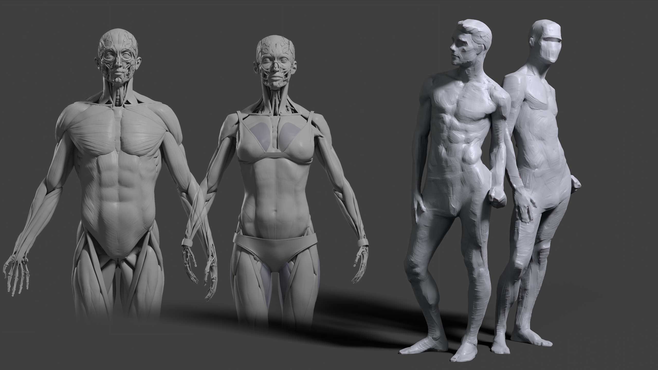 Sculpted anatomical figure studies — flayed male and female forms beside blocked-in figures