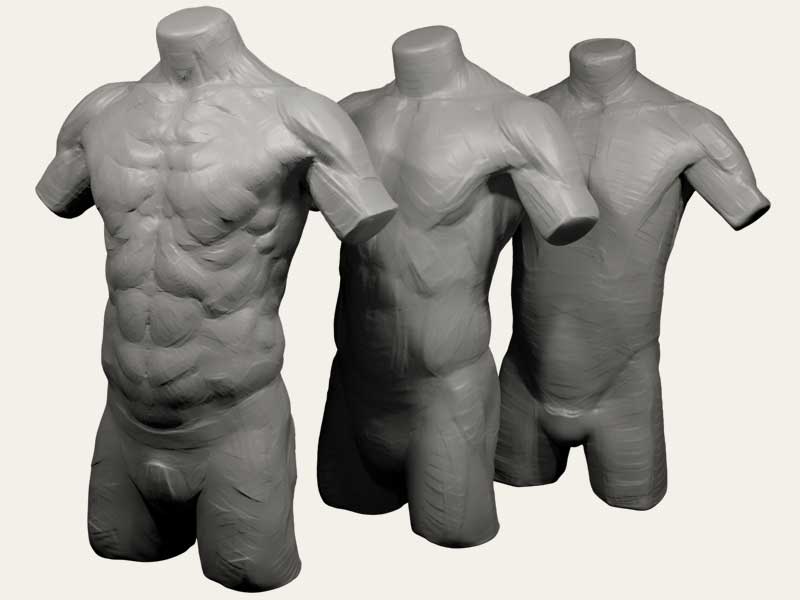 Three sculpted torso studies at different stages of refinement