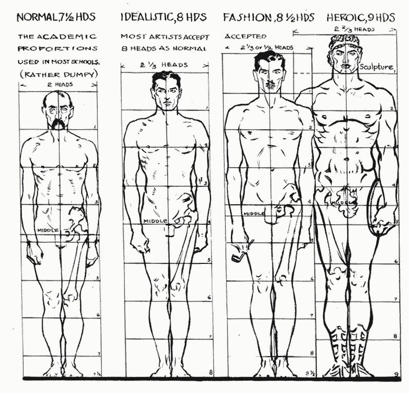 Proportions of the human body through history — how the “ideal” canon has shifted.