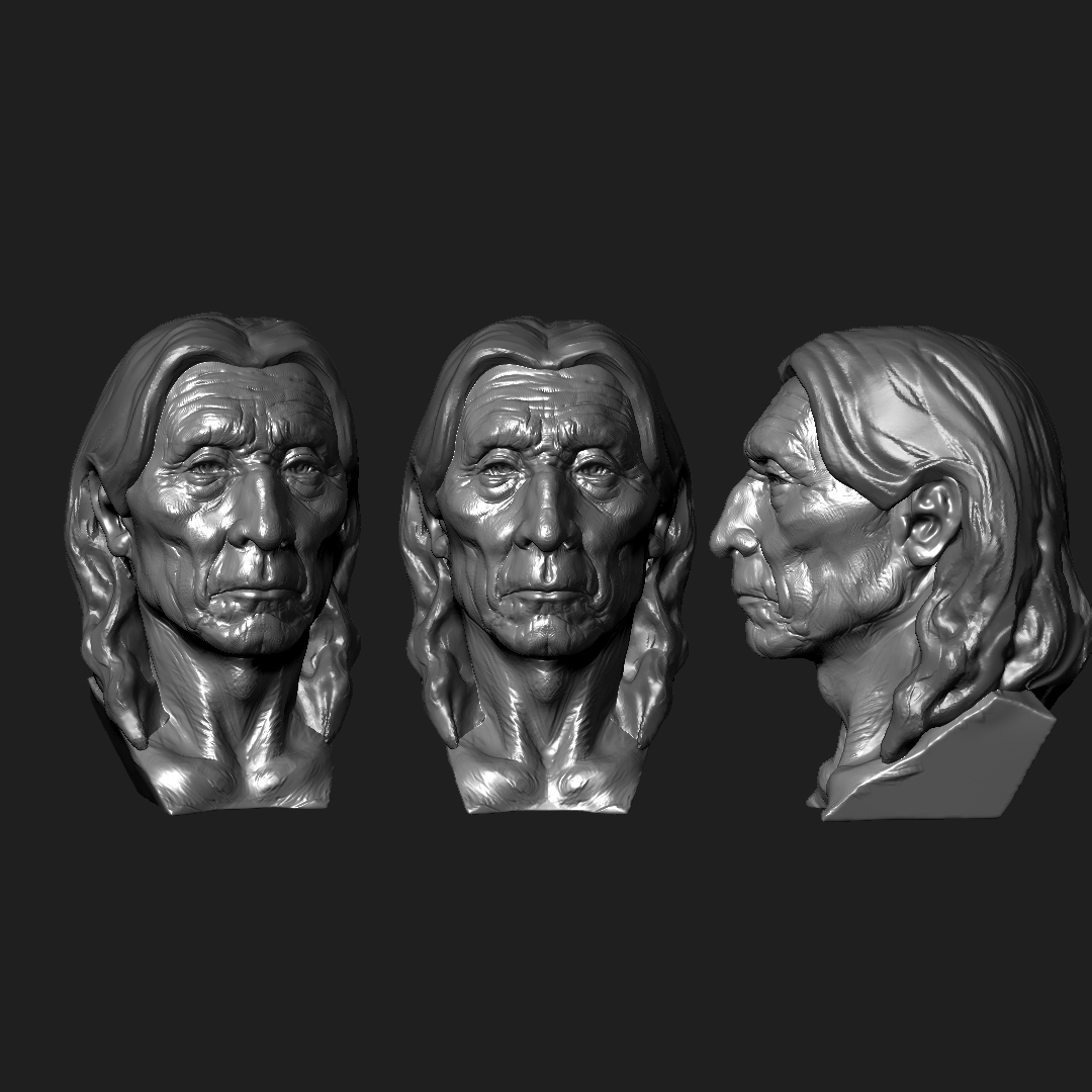Student sculpt — chest and torso musculature