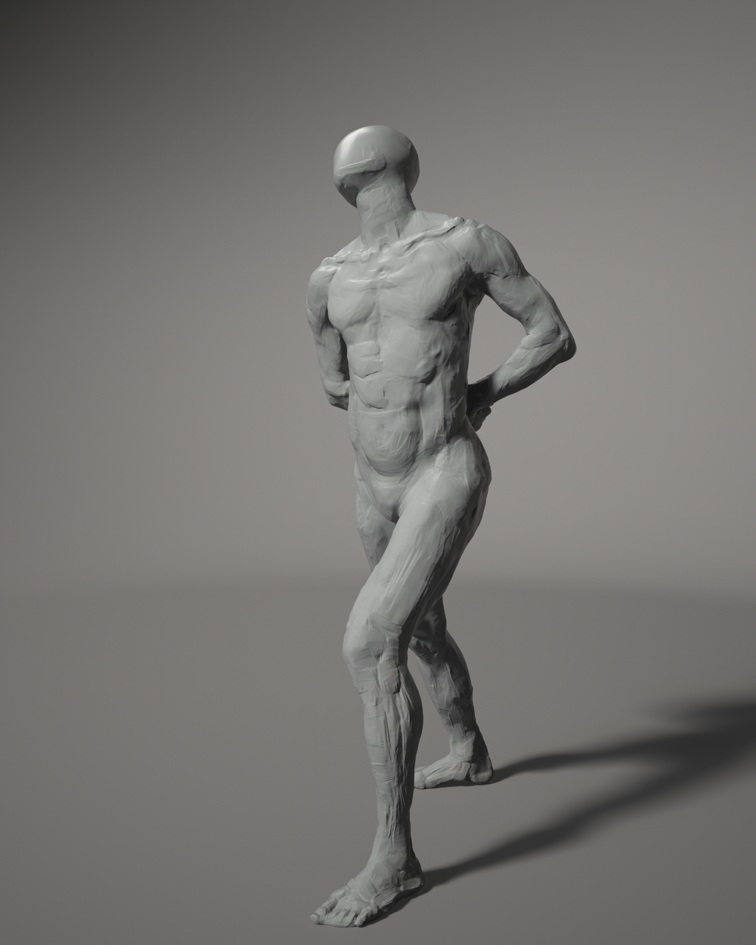 Student sculpt — torso muscle and skeleton