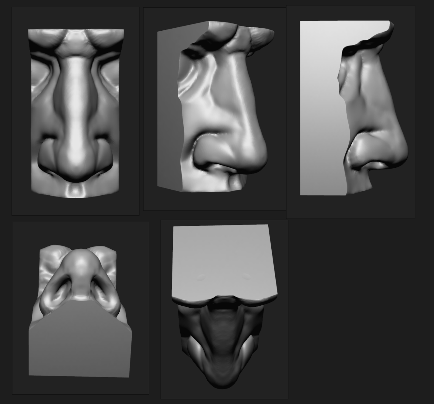 Student sculpt — nose plane studies