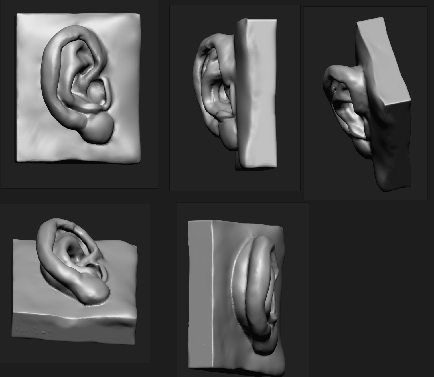 Student sculpt — ear studies