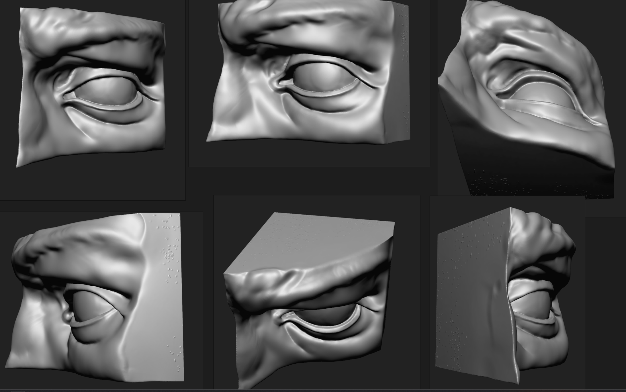 Student sculpt — eye and brow studies